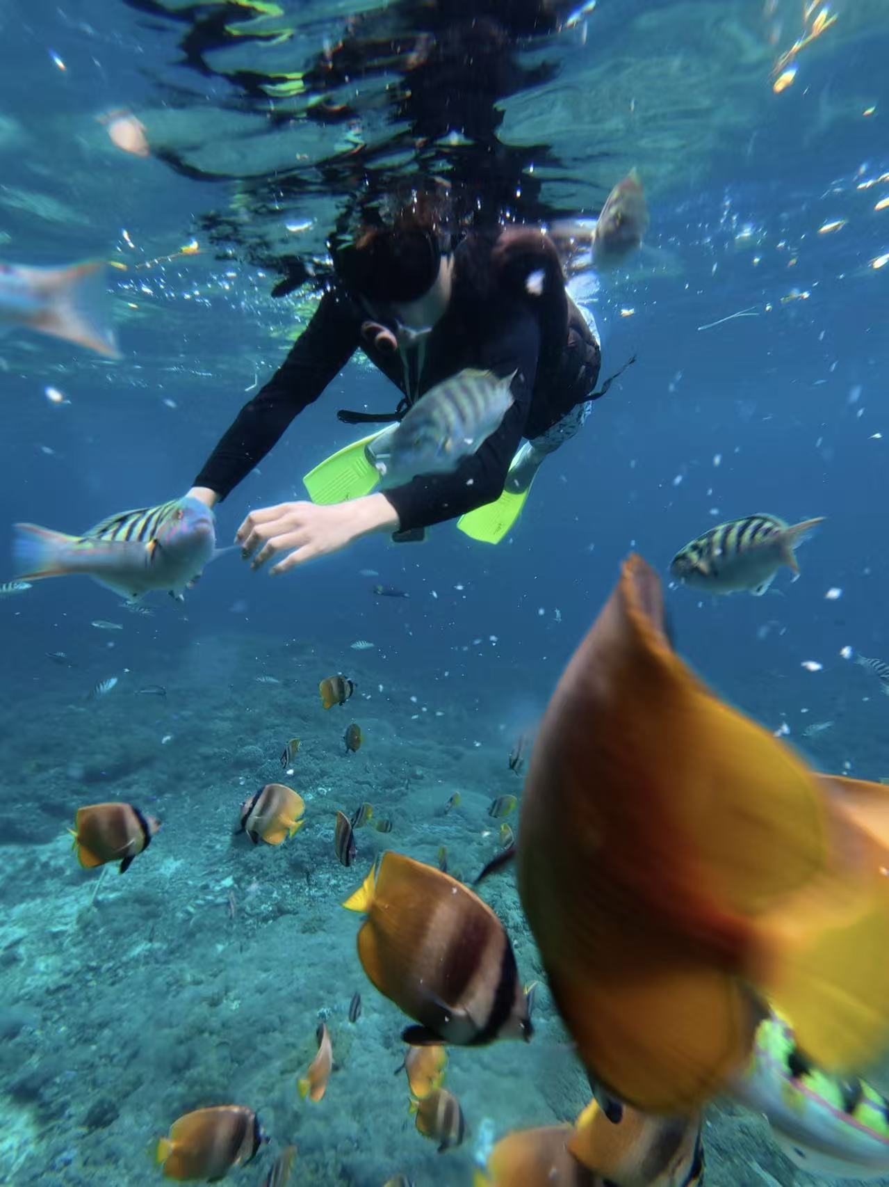 Bali